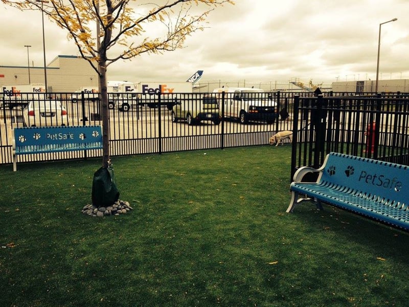 Airport Pet Relief Areas